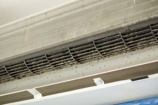 Best Duct Cleaning for Offices  in Perris, CA